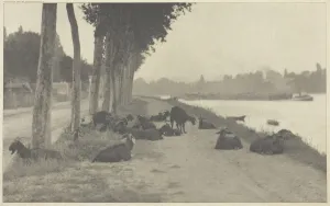 On the Seine—Near Paris, 1894, printed 1897. Creator: Alfred Stieglitz On the Seine—Near Paris, 1894, printed 1897. Creator: Alfred Stieglitz