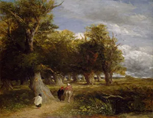 Romantic Era Gallery: The Skirts of the Forest, 1856. Creator: David Cox the elder