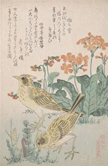 Skylarks and Primroses... ca. 1805-10. Creator: Kubo Shunman