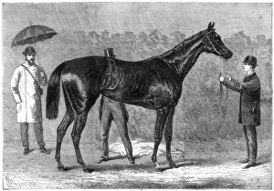 Spinaway, winner of the Oaks, 1875. Artist: Crane Spinaway, winner of the Oaks, 1875. Artist: Crane