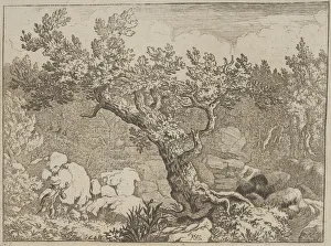 Related Images Gallery: The Sportsman near the Large Tree, 17th century. Creator: Allart van Everdingen