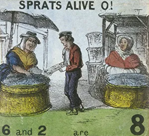 Sprats Alive O!, Cries of London, c1840. Artist: TH Jones Sprats Alive O!, Cries of London, c1840. Artist: TH Jones