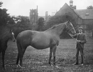 St Marguerite, British racehorse, 1895 (1938) St Marguerite, British racehorse, 1895 (1938)