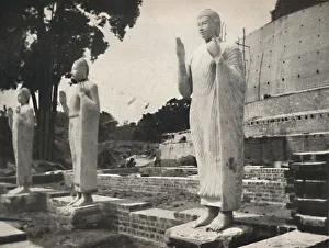 Steinstatuen vor der in Wiederherstellung befindlichen Ruwanwali-Dagoba, Anuradhapura Steinstatuen vor der in Wiederherstellung befindlichen Ruwanwali-Dagoba, Anuradhapura