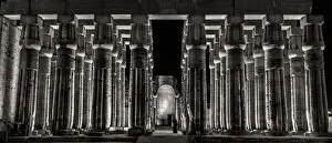 Letterbox Format Gallery: Stoic Columns of Luxor, Egypt. Creator: Viet Chu
