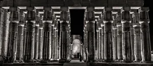 Letterbox Format Gallery: Stoic Columns of Luxor, Egypt. Creator: Viet Chu