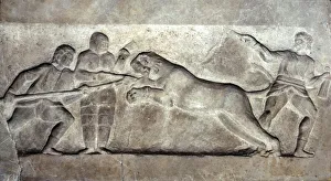 Stone relief ofStone relief of Gladiators fighting a lion, Turkey, c 323BC-31BC Stone relief ofStone relief of Gladiators fighting a lion, Turkey, c 323BC-31BC