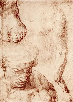 Studies for the figure of the cross-bearer in the Last Judgement, Sistine Chapel, Rome Studies for the figure of the cross-bearer in the Last Judgement, Sistine Chapel, Rome