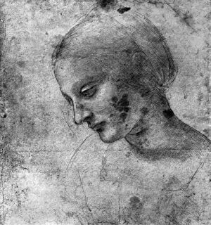 Apollo Collection: Study of the head of the Madonna, 15th century (1930). Artist: Leonardo da Vinci