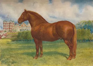 Suffolk sire Prince Wedgwood, c1902 (c1910). Artist: Frank Babbage Suffolk sire Prince Wedgwood, c1902 (c1910). Artist: Frank Babbage