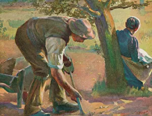 Sunlight, 19th century. Artists: James Clark, Ralph Nevill Sunlight, 19th century. Artists: James Clark, Ralph Nevill