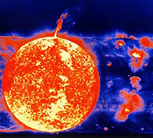 Sunspots and solar prominences, 1973