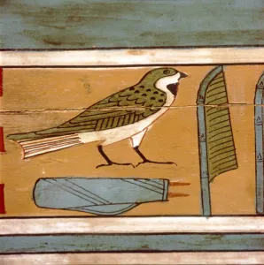 Swallow detail, Egyptian hieroglyphic on inner wall of coffin, c2000 BC Swallow detail, Egyptian hieroglyphic on inner wall of coffin, c2000 BC