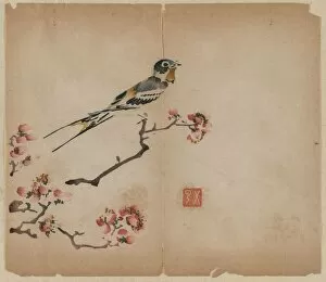 Swallow on Flowering Peach Branch, 1368-1644. Creator: Unknown