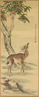 Symbols of Longevity: Deer under Peach and Pine , 1801. Creator: Toda Tadanaka (Japanese Symbols of Longevity: Deer under Peach and Pine , 1801. Creator: Toda Tadanaka (Japanese