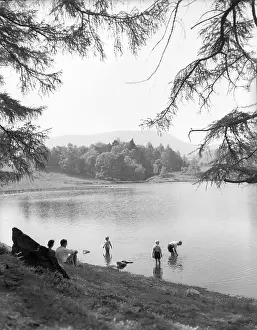Cumbria Tourist Attractions Prints: Tarn Hows, Lake District, c1955. Creator: Arthur Charles Kirby Ware