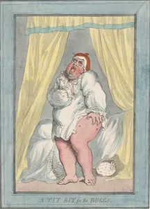 A Tit Bit for the Bugs, May 25, 1793., May 25, 1793. Creator: Thomas Rowlandson A Tit Bit for the Bugs, May 25, 1793., May 25, 1793. Creator: Thomas Rowlandson