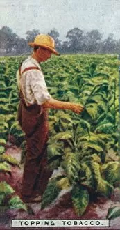 Topping Tobacco, 1926