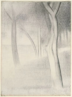 Tree Trunk Collection: Trees (study for La Grande Jatte), 1884. Creator: Georges-Pierre Seurat