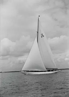 Kirk Sons Of Cowes Collection: Trivia, a 12 Metre class yacht sails close-hauled, 1939. Creator: Kirk & Sons of Cowes