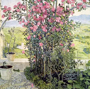 The Valley in Umbria, 1910s. Artist: Aleksandr Golovin The Valley in Umbria, 1910s. Artist: Aleksandr Golovin