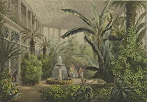 Verkiai Palace. Interior of conservatory, 1847-1852 Verkiai Palace. Interior of conservatory, 1847-1852
