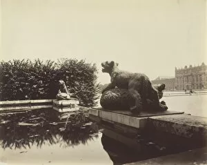 Palace Of Versailles Collection: Versailles, Fontaine du Point du Jour, (Tigre Terrassant un Ours par Houzeau), 1903
