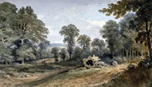 View of Bayswater Hill, London, 1803. Artist: William Crotch View of Bayswater Hill, London, 1803. Artist: William Crotch