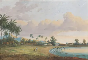 Framed Print : Print of a 19th-century landscape featuring a Carnation Java view