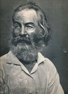 Walt Whitman, c1862, (1939). Artist: Mathew Brady Walt Whitman, c1862, (1939). Artist: Mathew Brady
