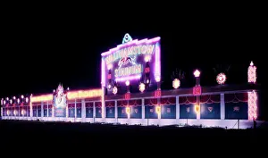 Dog Racing Prints: Walthamstow Greyhound Stadium Illuminated Print