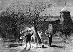 Wintry Collection: Wassailing apple trees with hot cider in Devonshire on twelfth eve, 1861