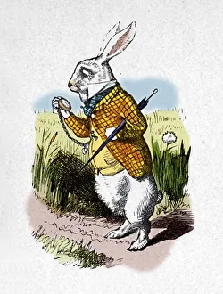 The White Rabbit with a watch, 1889. Artist: John Tenniel The White Rabbit with a watch, 1889. Artist: John Tenniel
