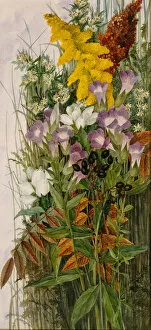 Wildflowers Gallery: Wildflowers, 1875. Creator: Ellen Robbins