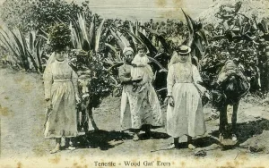 Wood gatherers, Tenerife, Canary Islands, early 20th century(?) Wood gatherers, Tenerife, Canary Islands, early 20th century(?)