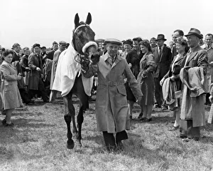 The Derby 1947. The winner, Pearl Driver, being led from the course The Derby 1947. The winner, Pearl Driver, being led from the course