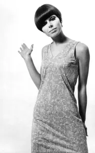 Vintage Fashion Photography Prints: Janni Goss 60s fashion model