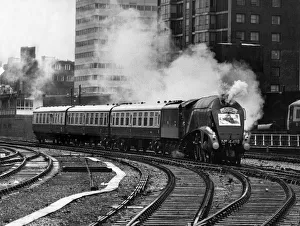 The Flying Scotsman arriving at Londons Marylebone Station 1985 The Flying Scotsman arriving at Londons Marylebone Station 1985