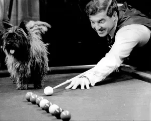 Snooker Prints: Eddie Charlton Print with Dog Hamish on Snooker Table