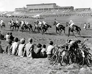 Spectators at Epsom race course, 1953 Spectators at Epsom race course, 1953