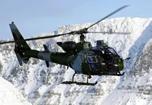 Norway Collection: 4 Regiment Army Air Corp Gazelle Helicopter