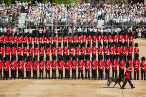 The Army celebrate the birthday of their Queen The Army celebrate the birthday of their Queen