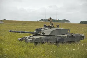 Images Dated 16th July 2014: Challenger 2 Tank on Salisbury Plain