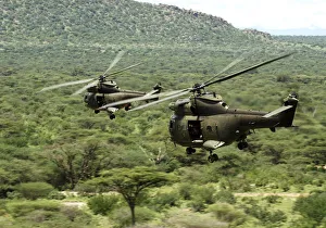 Two Royal Air Force Puma Helicopters During Ex Askari Thunder Over Kenya Two Royal Air Force Puma Helicopters During Ex Askari Thunder Over Kenya