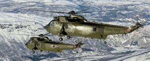 Norway Collection: Royal Navy Seaking Mk4 Helicopters Over Northern Norway