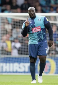 Adebayo Akinfenwa