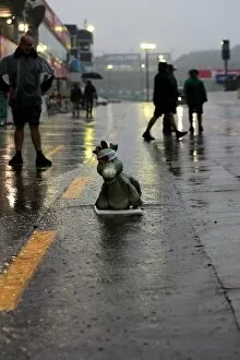 Images Dated 8th October 2004: Formula One World Championship: Donkey does surfboarding in Japan