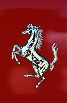 Images Dated 16th May 2002: Formula One World Championship: The Ferrari Prancing Horse