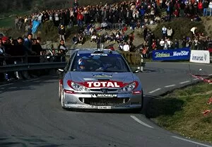 Images Dated 25th March 2002: World Rally Championship: Rally winner Gilles Panizzi on his way to victory in a Peugeot 206 WRC