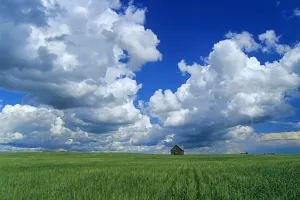 Abandoned Farm In Wheat Field With Cumulonimbus Clouds In The Sky, Near Kisbey, Saskatchewan Abandoned Farm In Wheat Field With Cumulonimbus Clouds In The Sky, Near Kisbey, Saskatchewan